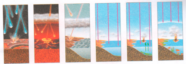 Решение рисунок 1