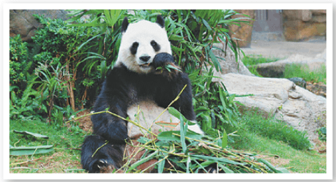 Задание рисунок 1